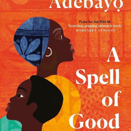Read more about the article Nigerian author’s work nominated for UK’s top literary award