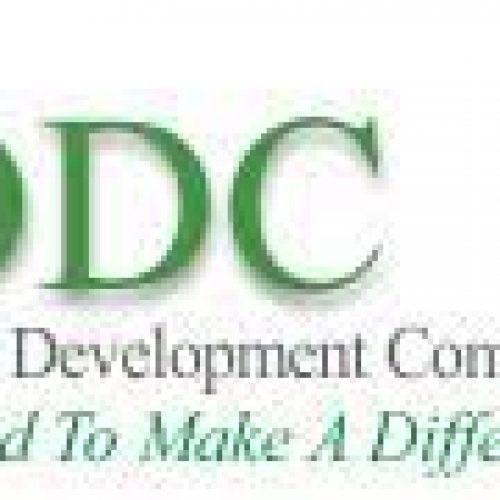 Tinubu approves new board for NDDC