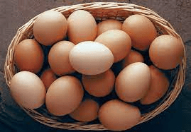 Read more about the article Eggs and Cholesterol — how many eggs can you safely eat?