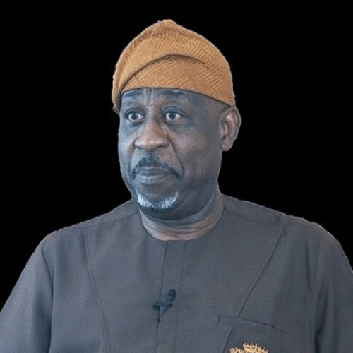 Why Tinubu made me solid minerals minister – Dele Alake
