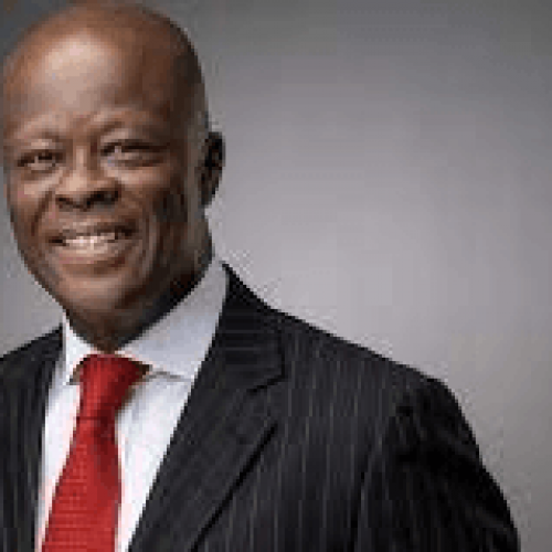 No plan to borrow – Wale Edun