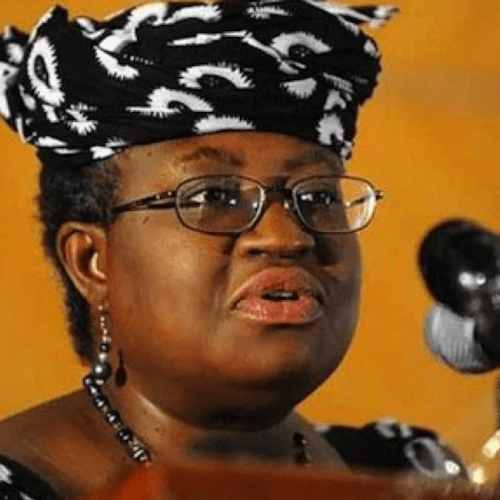 Read more about the article What President Tinubu and I discussed in Abuja – Okonjo Iweala