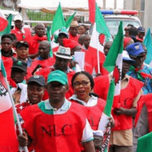 NLC slams TUC for pulling out of strike