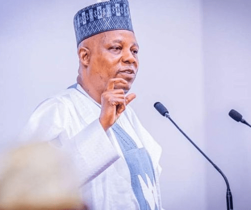 Read more about the article Nigeria’s economy will pick up in 15 months – Shettima