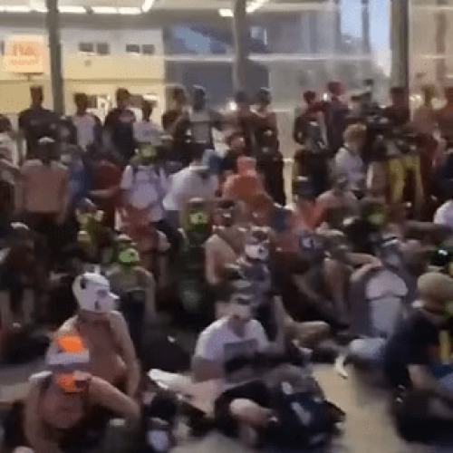 Are they barking mad? Hundreds of people who identify as DOGS gather to bark and howl at each other in Germany