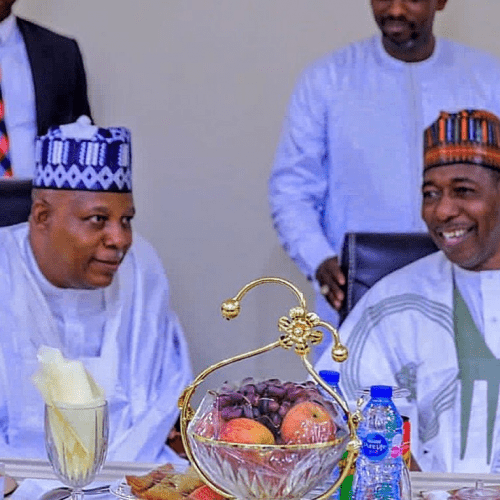 Read more about the article Shettima is a mentor with a difference- Zulum celebrates VP @ 57