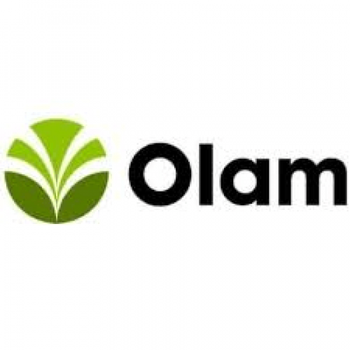 Olam Group denies reports of multi-billion dollar forex fraud in Nigeria, shares slump