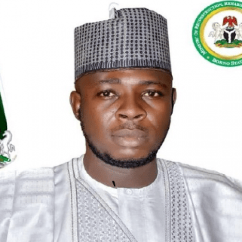 Borno confirms mysterious death of Commissioner