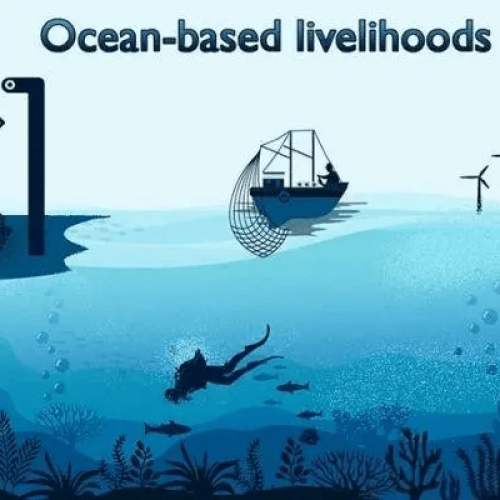 Nigeria’s blue economy offers 350 million jobs-NIMASA boss