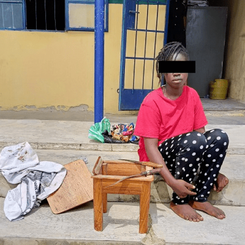 Inside story of professor’s murder by sacked maid, friends
