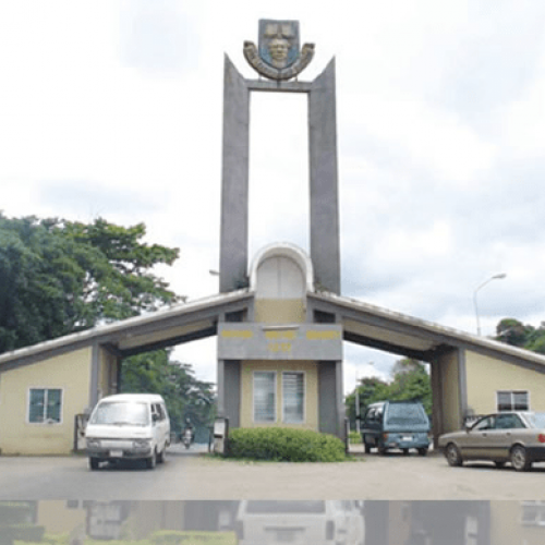 Probe begins as OAU lecturer punches student