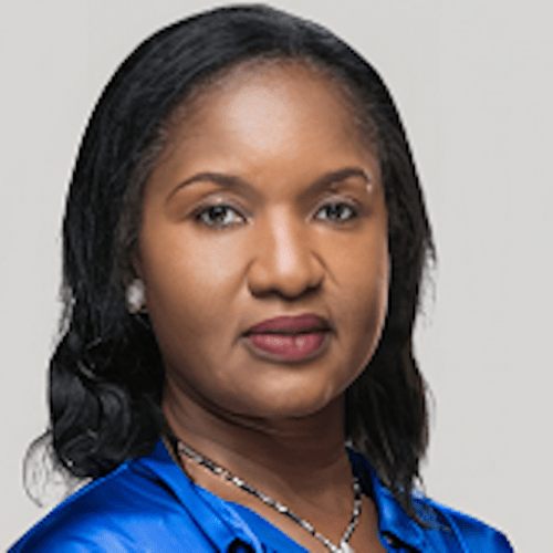 Read more about the article Penkelemesi in the Power Sector, by Ijeoma Nwogwugwu