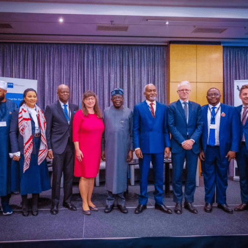 Read more about the article Nigeria-Germany Sign $500M Renewable Energy Pact, Gas Export Agreement