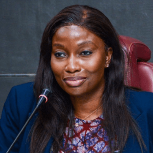 Meet Bunmi Onabanjo-Kuku, Nigeria’s first female MD of FAAN