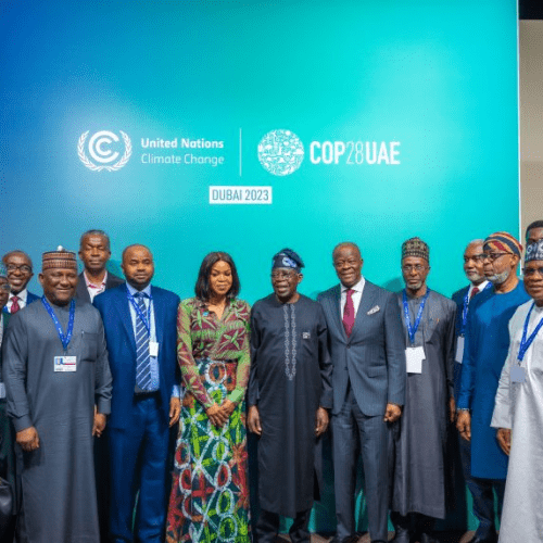 Read more about the article Nigeria at COP28: Separating the facts from fiction, by Temitope Ajayi