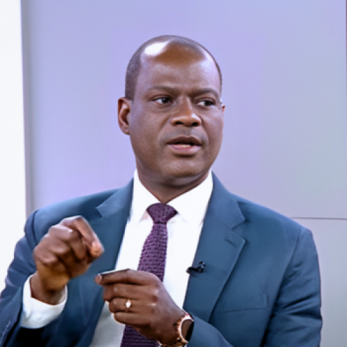 Area Boys Can Be Trained As Tax Officers, Paid Decent Salaries — Oyedele