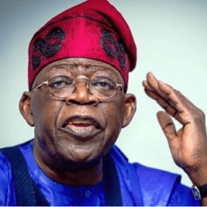 No going back on economic reforms - Tinubu 2 image 105