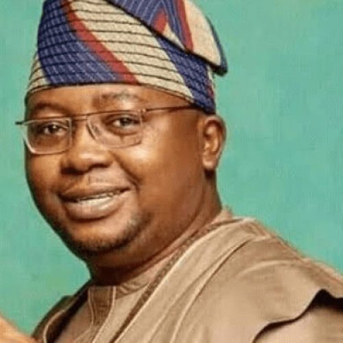 The heat is on Adebayo Adelabu as Nigeria’s power supply woe continues