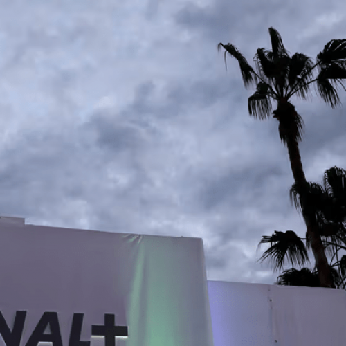 French company, Canal+ may  acquire Multichoice