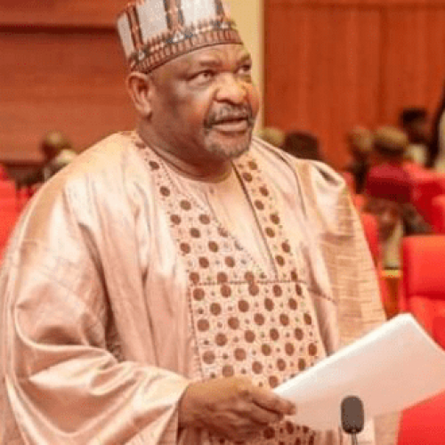 Ningi resigns as chairman of Northern Senators Forum