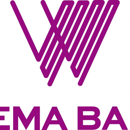 Read more about the article 2m Youths To Be Trained In Wema Bank/FGN-ALAT Programme