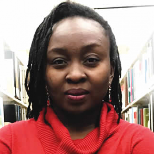 Erisco vs Egodi: The police is the villain, by Abimbola Adelakun