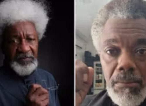 Read more about the article Wale Ojo to Portray Wole Soyinka in Film Adaptation of ‘The Man Died’