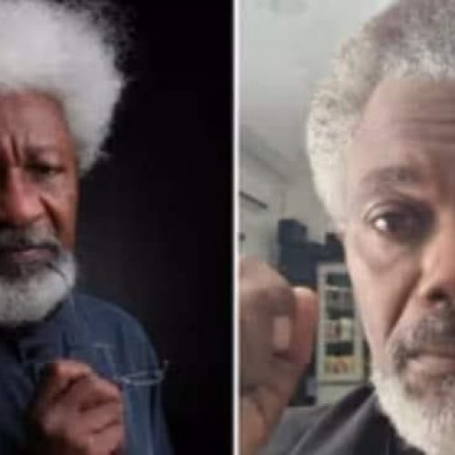 Wale Ojo to Portray Wole Soyinka in Film Adaptation of ‘The Man Died’