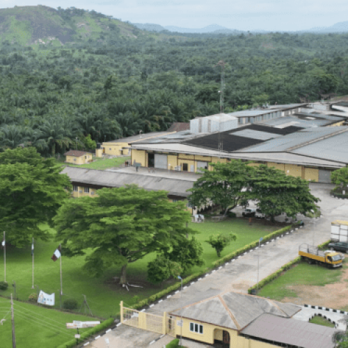 Premium Cocoa Products (Ile-Oluji) Limited transitions to gas-powered, ESG-focused operations