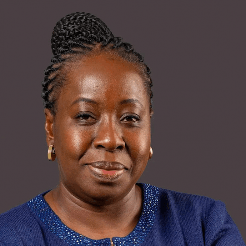 Read more about the article Funke Opeke: Corporate Amazon Moves Again