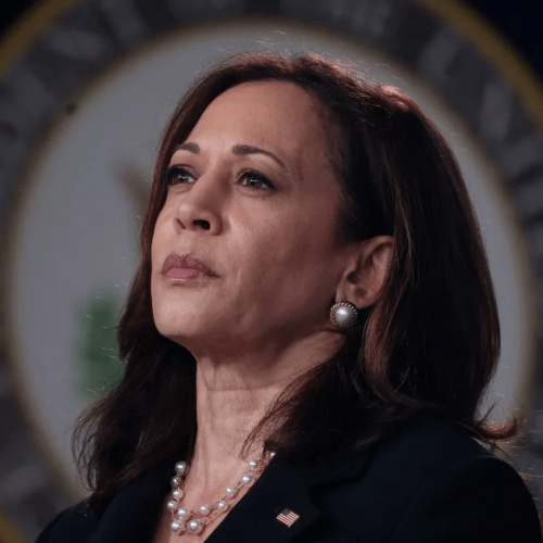 Read more about the article Harris could be the first Black woman and Asian American to lead a major party ticket