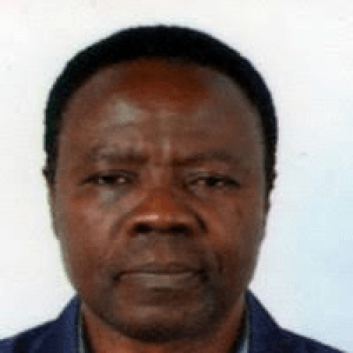 Second Banking Sector Recapitalisation: Adopting the Okereke-Onyiuke Model