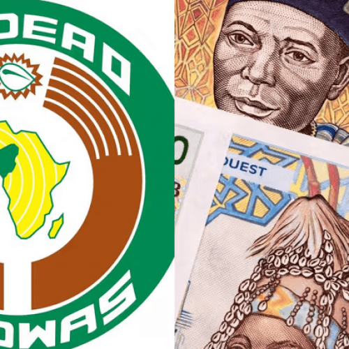 ECOWAS set to unveil single currency, ECO after Nigeria endorsement