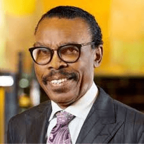 FG’s response to negative economic developments has improved after protests – Bismark Rewane