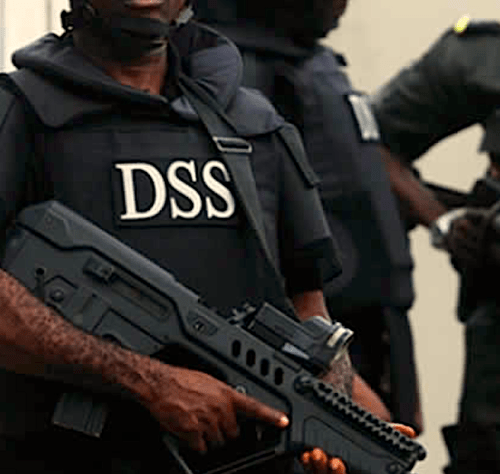 Read more about the article We didn’t invade NLC’s office – DSS