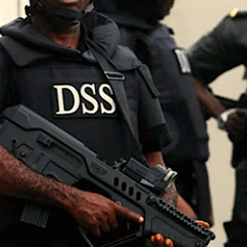 We didn’t invade NLC’s office – DSS