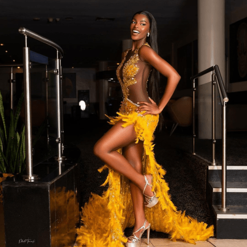 Read more about the article ‘I did not steal anyone’s identity’, Miss Universe Nigeria addresses identity theft allegations 
