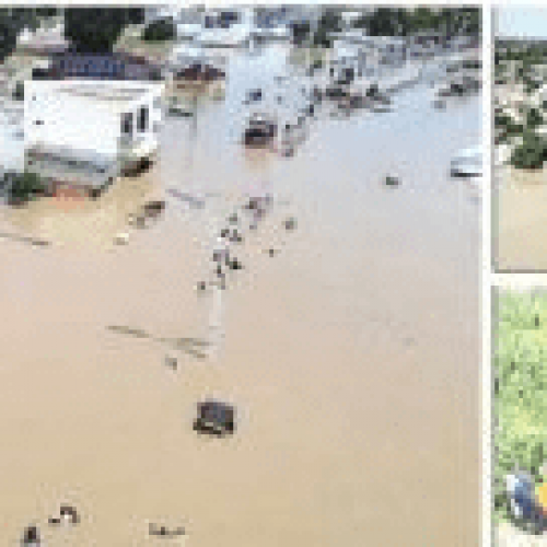 FG opens IDP camps as flood submerges 70% of Maiduguri over collapse of Borno dam