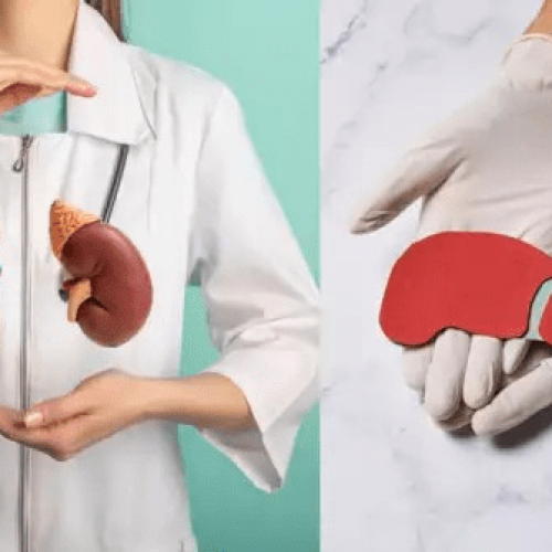 5 everyday morning habits to detox kidney and liver