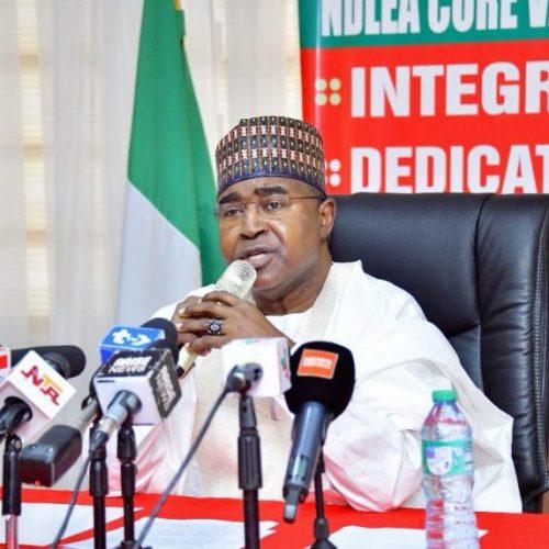 Read more about the article Real reason Senator Ashiru is attacking us –NDLEA