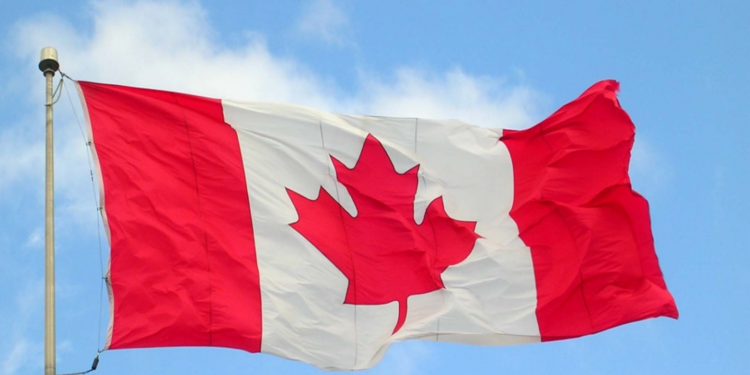 You are currently viewing Canada’s capital city offers renewable scholarships for international students 