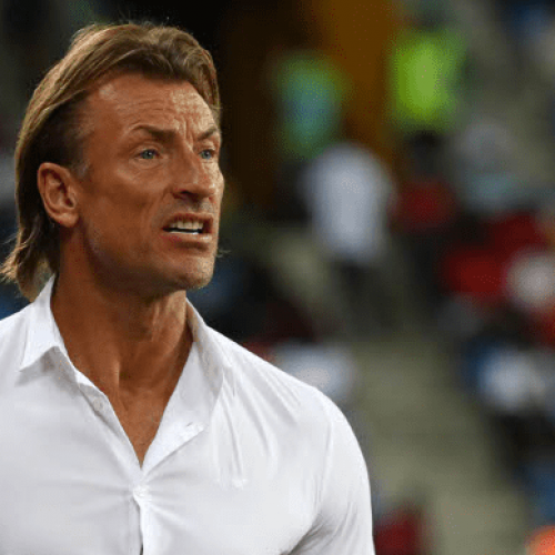 Why I rejected Super Eagles job – Herve Renard