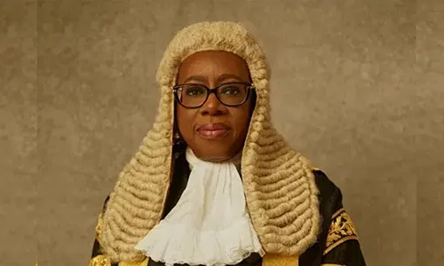 Read more about the article NJC will no longer spare non – performing Judges- CJN