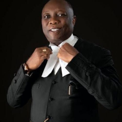World Class: Profile of the New Asagba of Asaba, Prof. Epiphany Azinge.