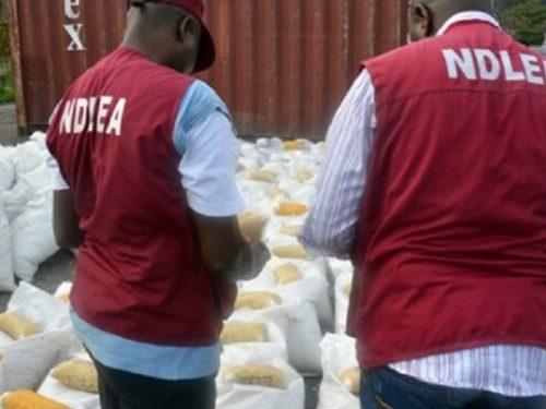 Read more about the article NDLEA intercepts tramadol, cannabis worth N16.6 billion at Lagos, Port Harcourt ports