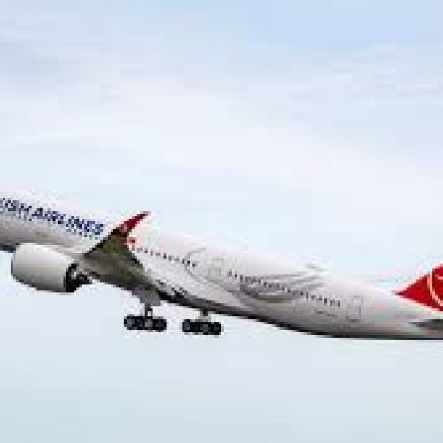 Turkish Airlines flight makes emergency landing after pilot dies