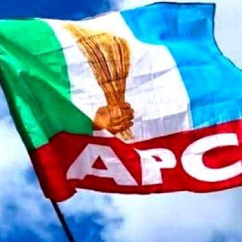 APC sustains trends by ruling parties in states, sweeps Benue LG poll