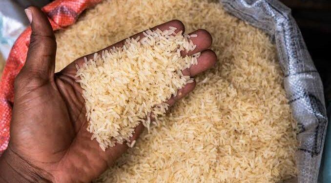 You are currently viewing Rice mills in northern Nigeria shutdown as economic woes bite, govt intervention cease 