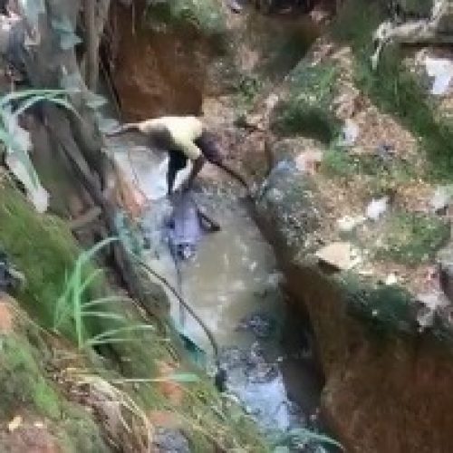 Suspected fraudster fleeing police arrest falls into Lagos canal, dies
