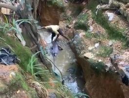 Read more about the article Suspected fraudster fleeing police arrest falls into Lagos canal, dies